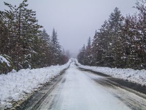 Tranquil Road