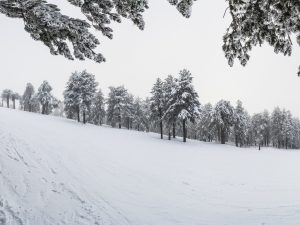 Snowy Slope