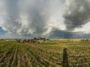 Rural Landscape