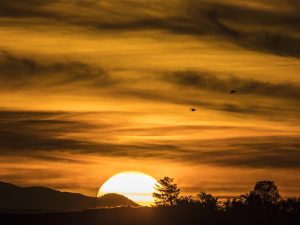 Dipping Golden Sun