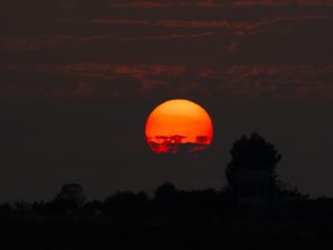 Mesmerizing Sun