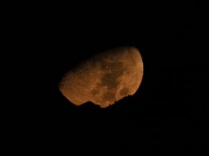 Earthly Tone Moon