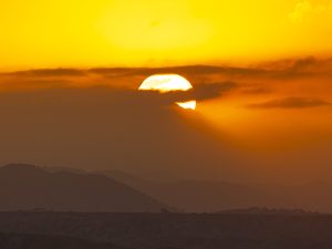 Golden Orange Sun