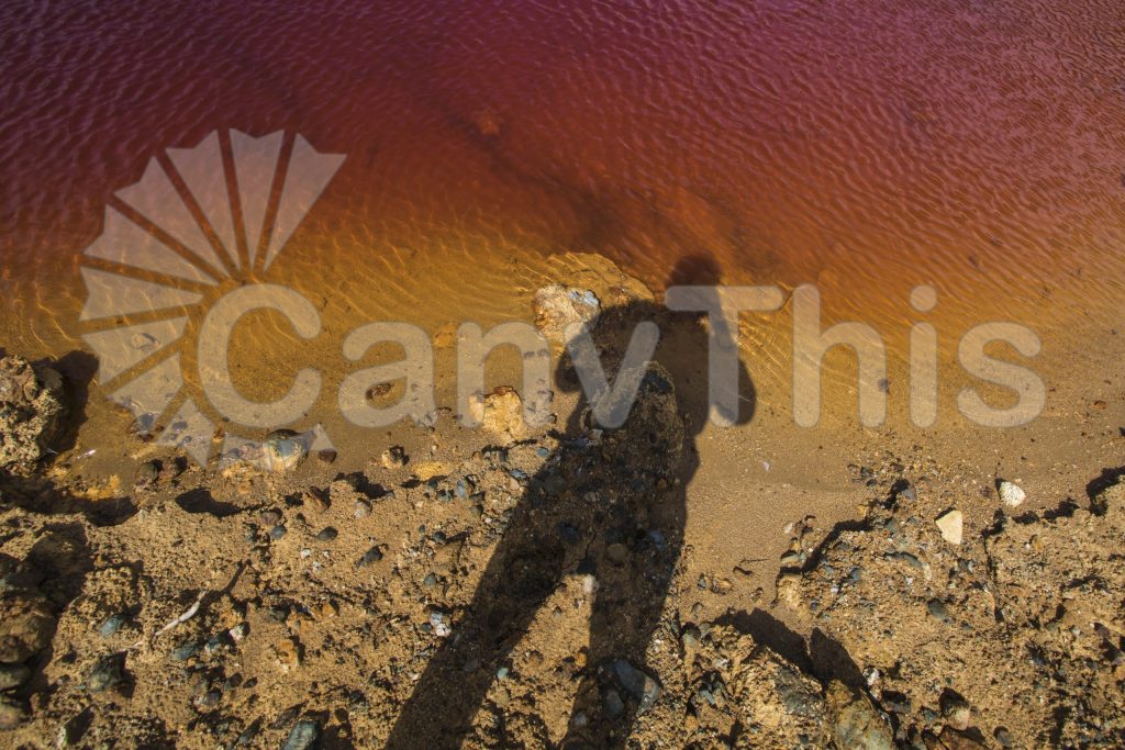 
									Water Shoreline Contranst