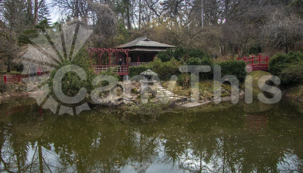 
									Japanese Garden