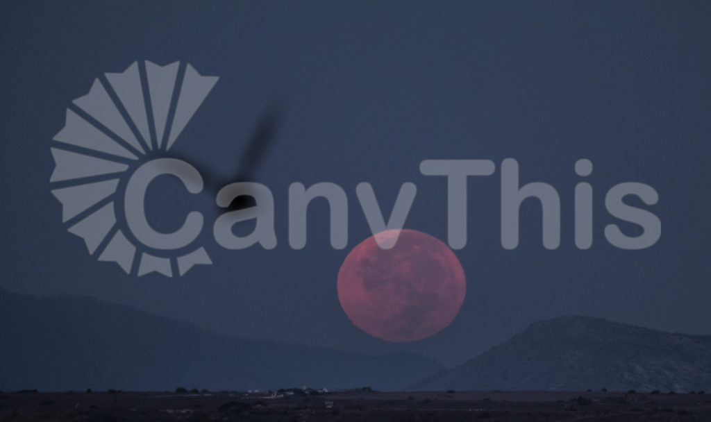 
									Red Moon