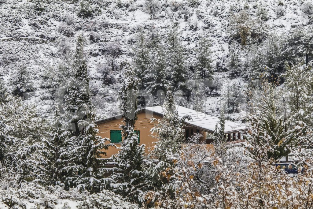 
									Rustic House