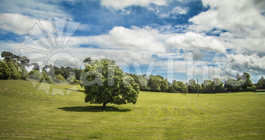 
									Country Landscape