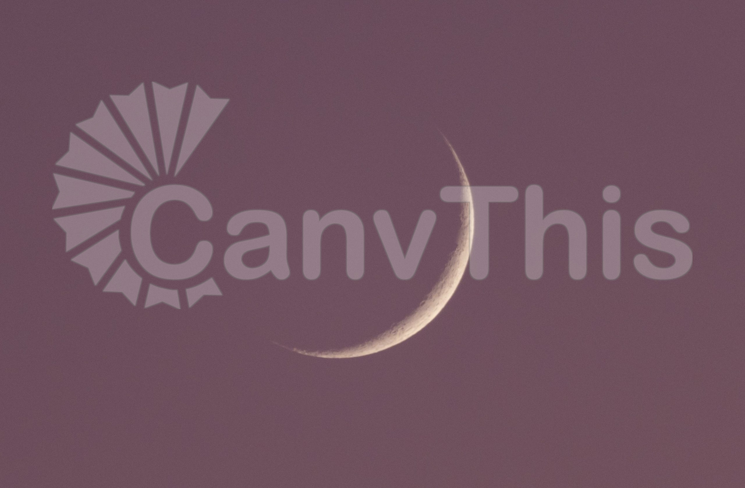 326. Pink Sky Moon_watermarked