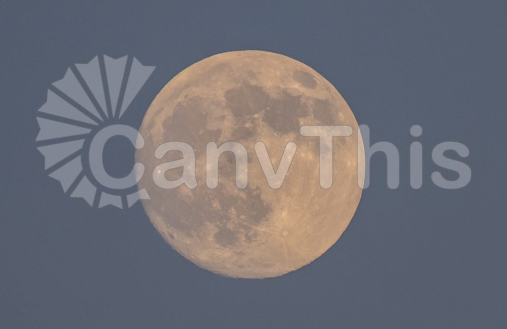 
									Muted Twilight Moon