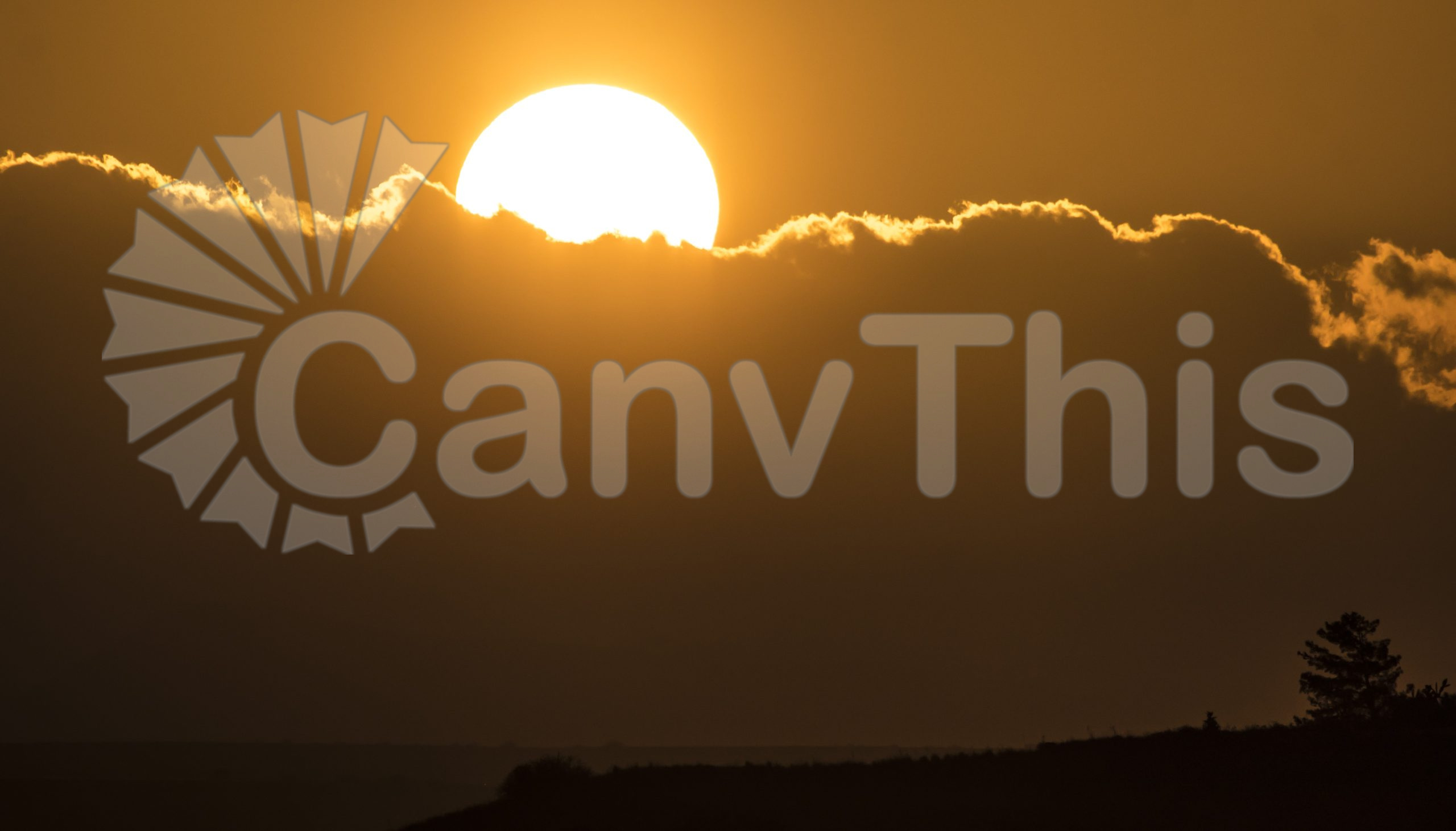 342. Radiant Sun_watermarked