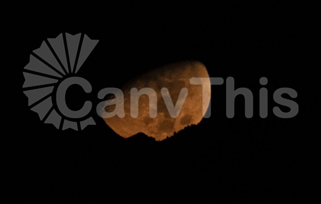 
									Earthly Tone Moon