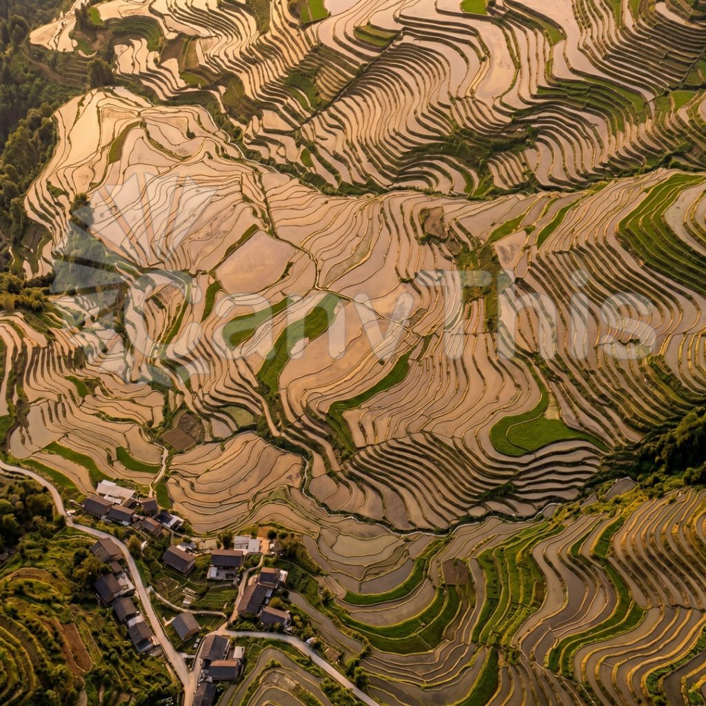 
									Rice Terrace Steps — Banaue Philippine Aerial