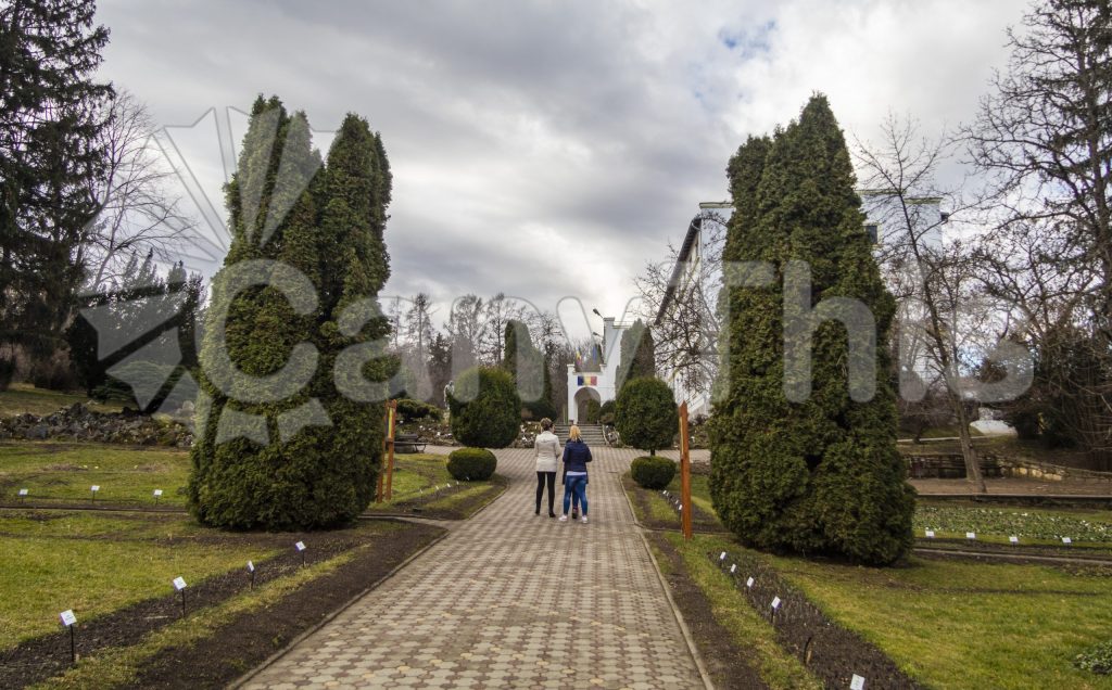 
									Garden Path