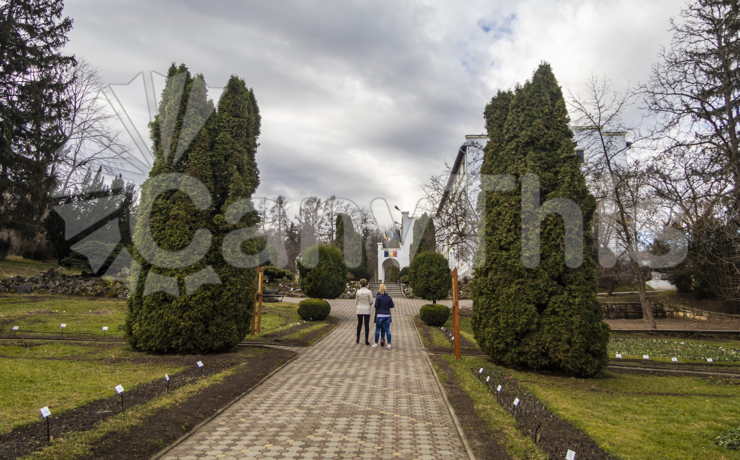 423. Garden Path_watermarked
