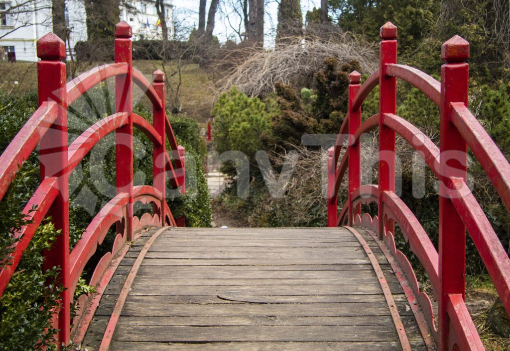 
									Red Wood Bridge