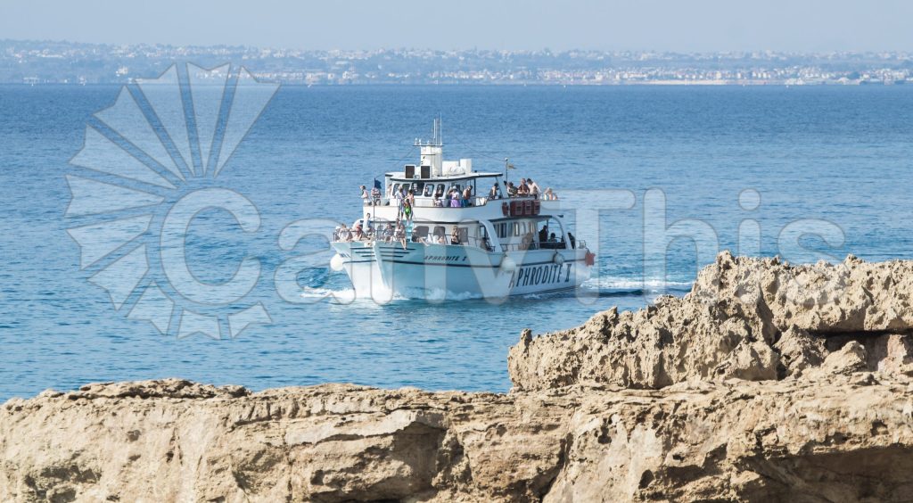 
									Cruising Boat