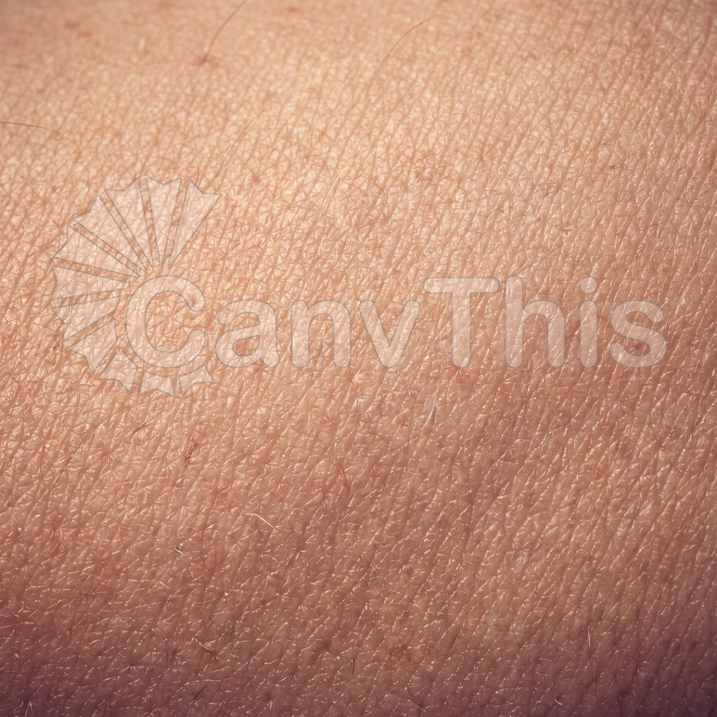 
									Human Skin Texture — Forearm Surface at 3:1 Macro